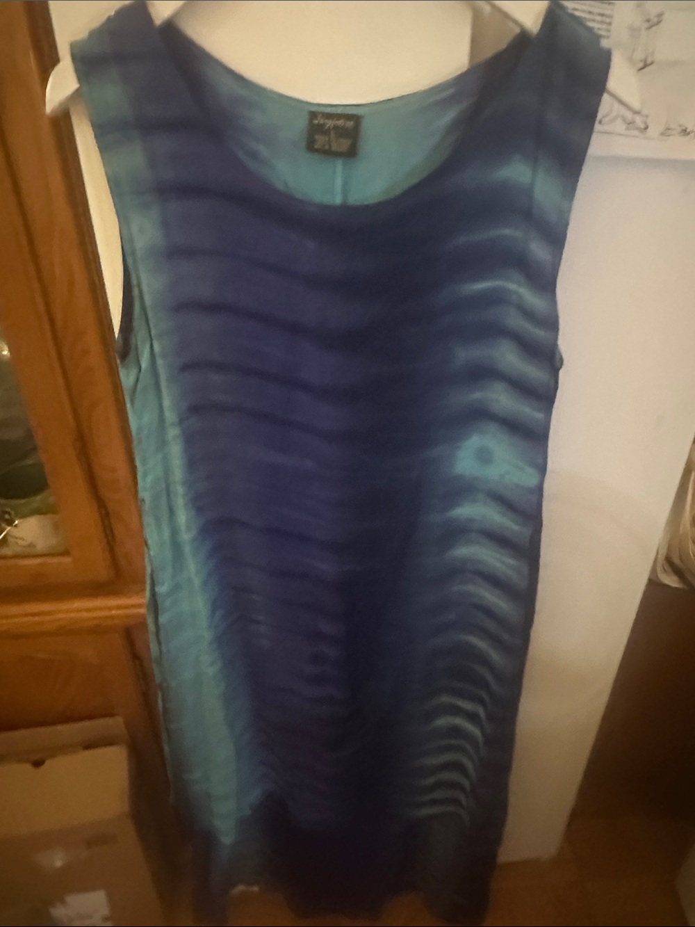 Jeyfore Teal-to-Navy Ombre Sleeveless Tunic